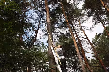 Es war schwierig, an die Katze heranzukommen Es war schwierig, an die Katze heranzukommen