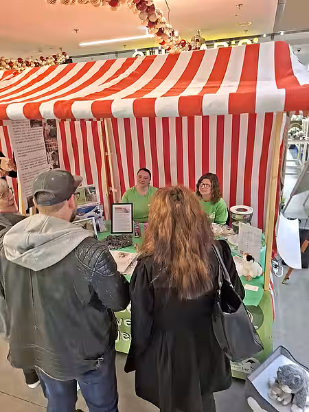 Passanten vor einem unserer Infostände