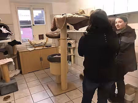 Vermittlungsgespräch 