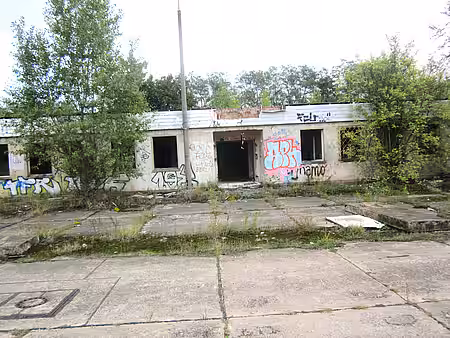 In Zossen erhängte Katze