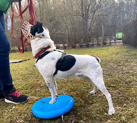 Anton ist ein alter Hase im Geschäft, hat aber trotzdem riesig Spaß.
