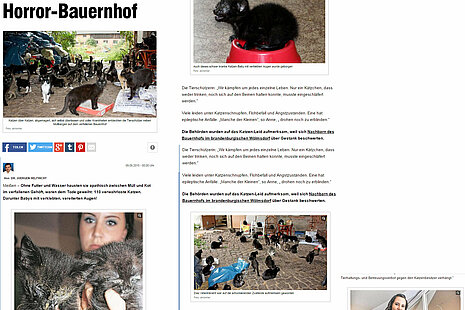 BILD Dresden | 9. September 2015 | "Meissner Tierschützerin befreit 110 Katzen von Horror Bauernhof"