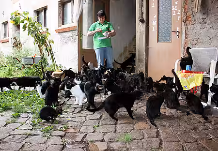 Animal Hoarding Fall Brandenburg Wölmsdorf