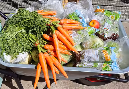 Mehrmals täglich gibt es Gemüse, Kräuter, Salat und ein wenig Obst.