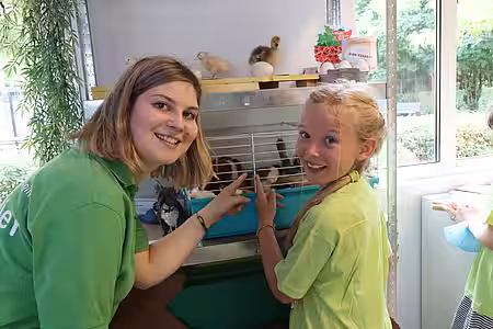 Tierschutzpädagogin Xenia Tregub erklärt die Ausstellungsstücke. 