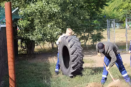 Eingraben der Reifen im Hundeauslauf. Eingraben der Reifen im Hundeauslauf.