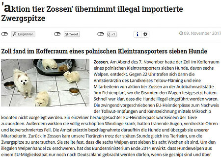 10. November 2017 | Blickpunkt Zossen | "aktion tier Zossen" übernimmt illegal importierte Zwergspitze