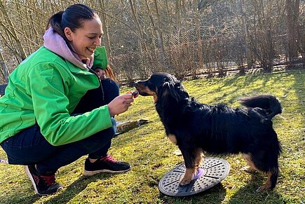 Baloo und der Balance-Akt auf dem Wackelbrett.