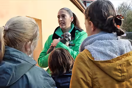 Kari Sieme erzählt die Geschichte eines kleinen Hundes