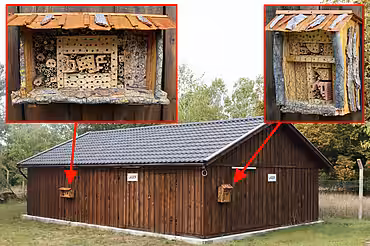 Das Futterlager auf unserem Tierheimgelände mit den beiden Nisthilfen.