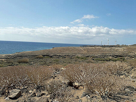 Insel Teneriffa