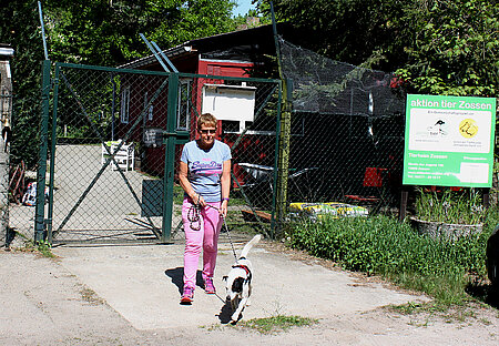 Tierheimhund Anton freut sich auf die Gassirunde mit Bärbel. 