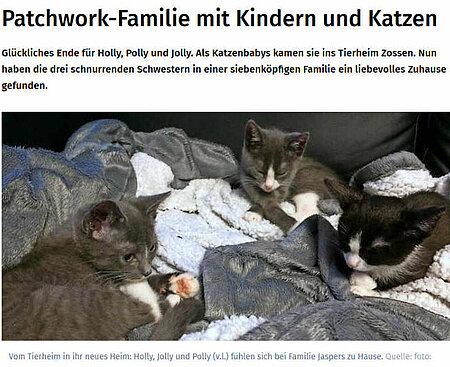 06. Februar 2019 | Märkische Allgemeine Zeitung | Patchwork-Familie mit Kindern und Katzen 