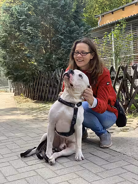 Öhrchen kraulen bei Hund Oskar 
