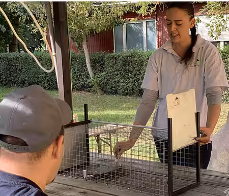 Ann Kari Sieme erklärt wie die Lebendfalle funktioniert. Ann Kari Sieme erklärt wie die Lebendfalle funktioniert.