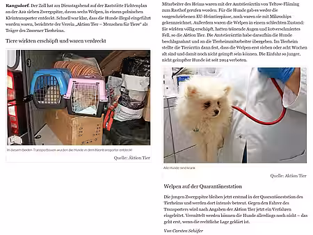 08. November 2017 | MAZ | Illegal Zwergspitz-Welpen eingeschmuggelt