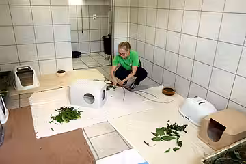 Tierpflegerin Laura Herold bereitet die Quarantänezimmer.