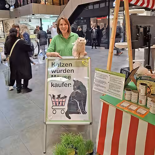 Eine Frau mit einem Aufsteller an einem Infostand