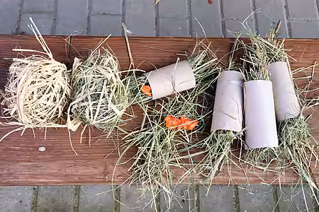 Selbstgebasteltes Futter-Spielzeug für die Kaninchen
