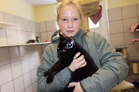 Die meisten Kinder lieben Katzen